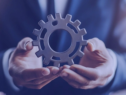 Professional Services